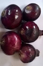 زريعة البصل الايطالي